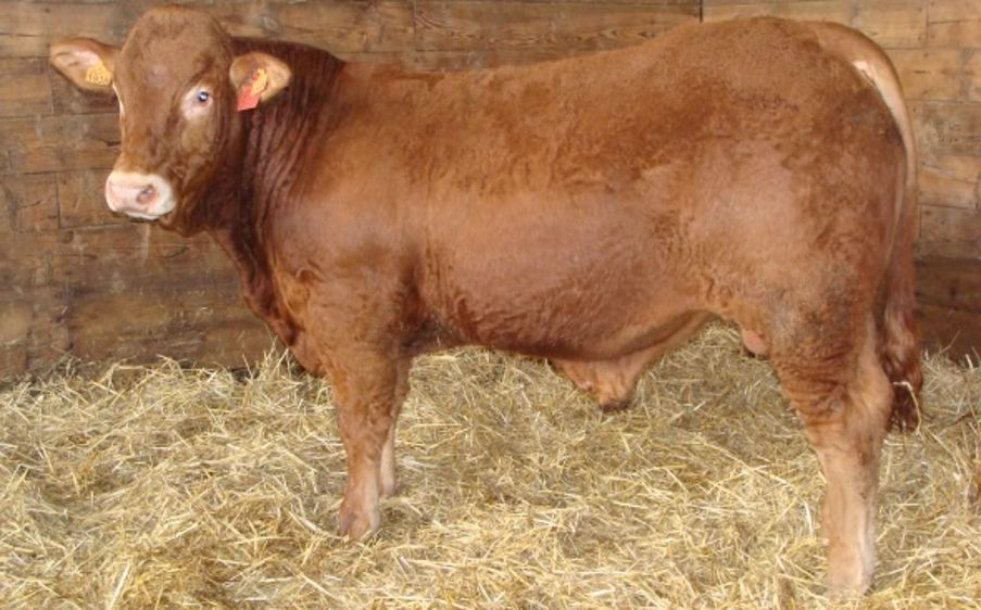 Une deuxième série qui redonne de l’optimisme à Lanaud