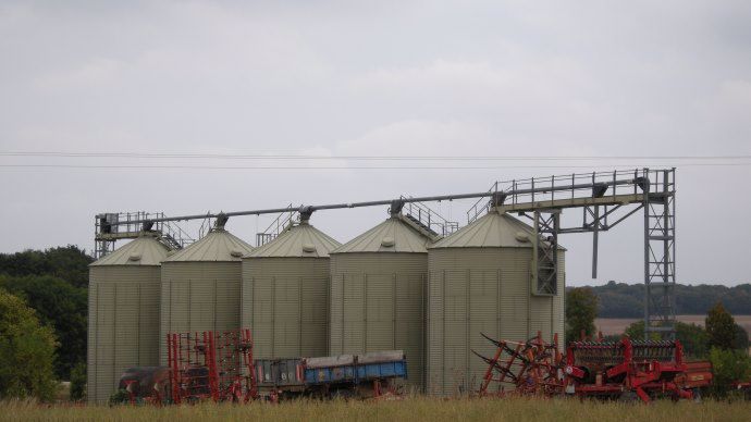 Cellules de stockage des grains.