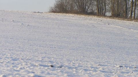 Intense vague de froid en vue sur les Grandes Plaines