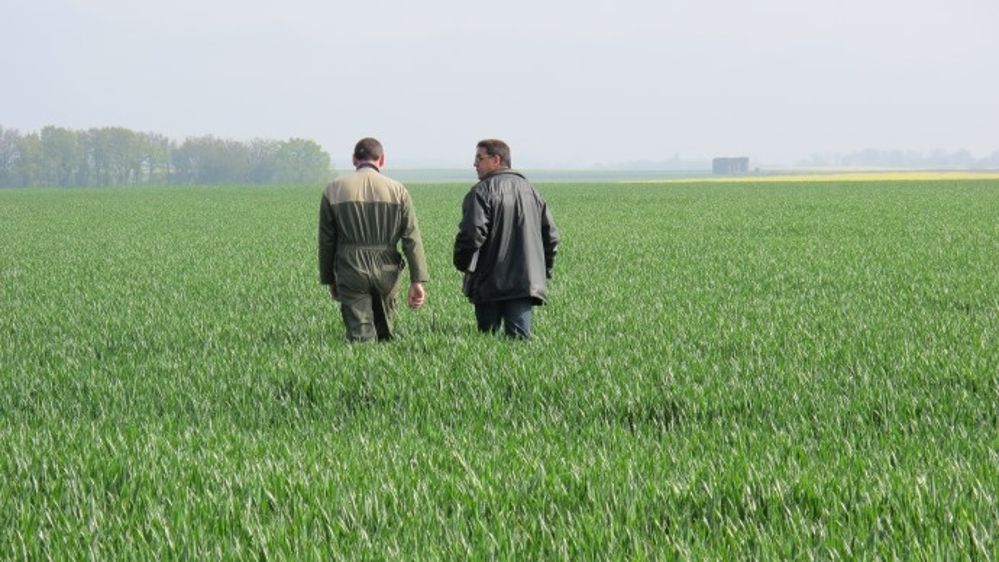 La protection fongicide à un haut niveau