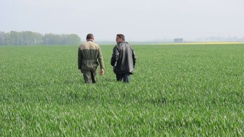 La protection fongicide à un haut niveau La protection fongicide à un haut niveau