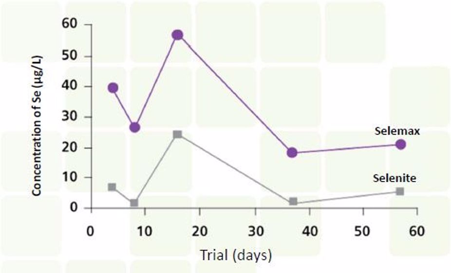 Selemax 2000, du sélénium organique pour réduire le risque de mammites
