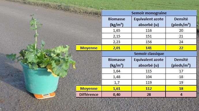 Mesures de la biomasse aérienne des colzas en entrée d'hiver.