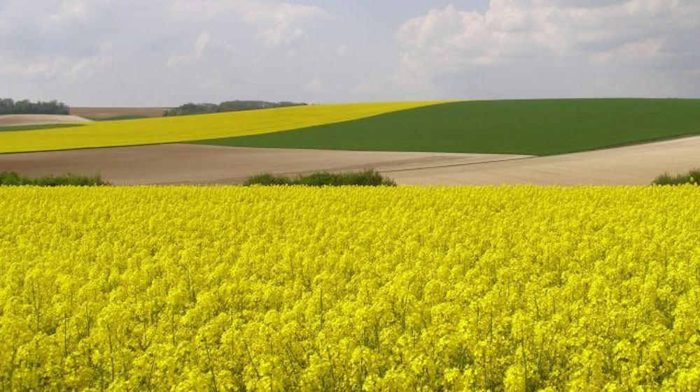 Jusqu'à 10 milliards de perte de revenu agricole et de valeur ajoutée par an
