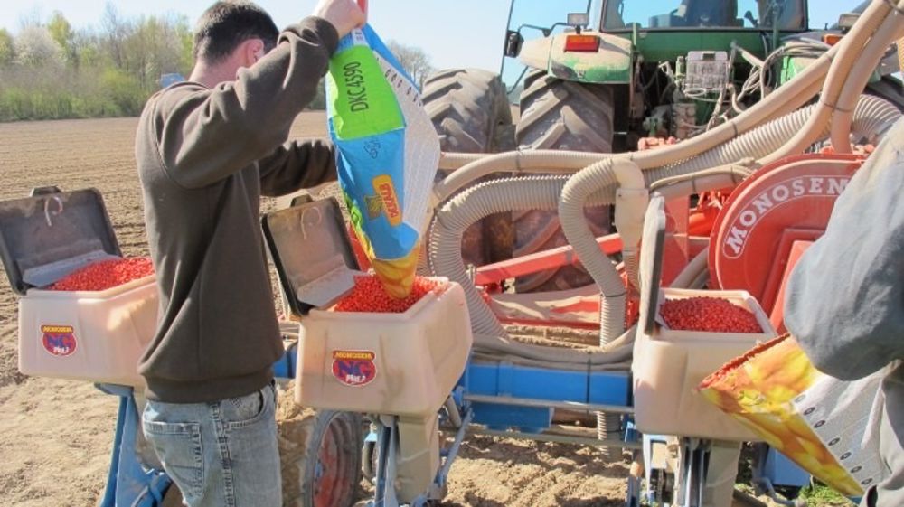 Présent sur toutes les précocités et tout au long du cycle du maïs