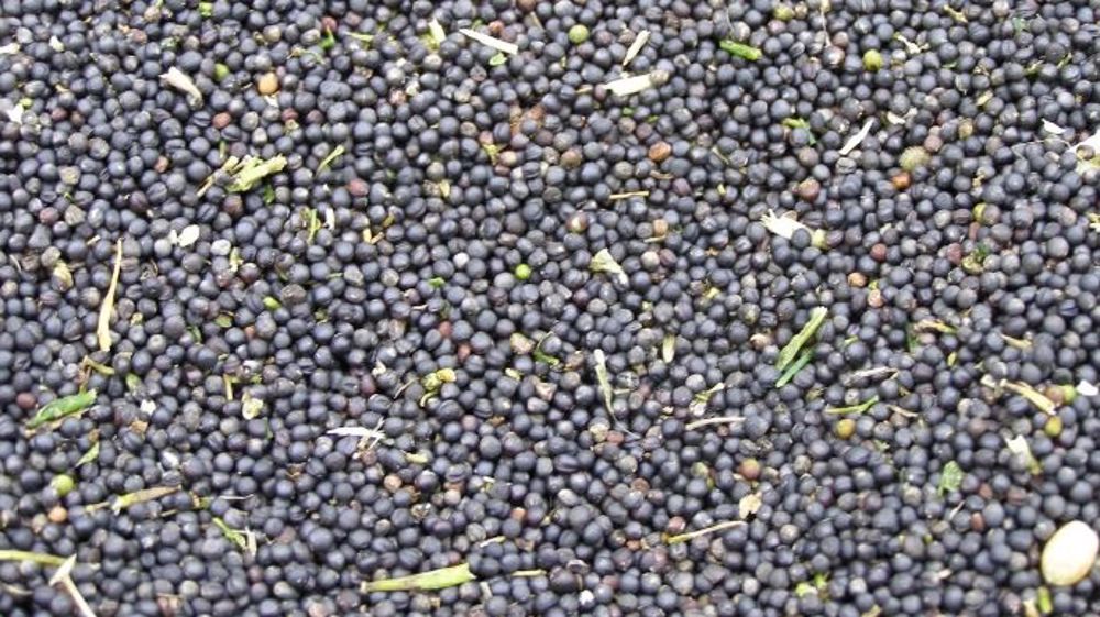 La baisse des ventes et des prix des grains réduit l’excédent de 145 M€