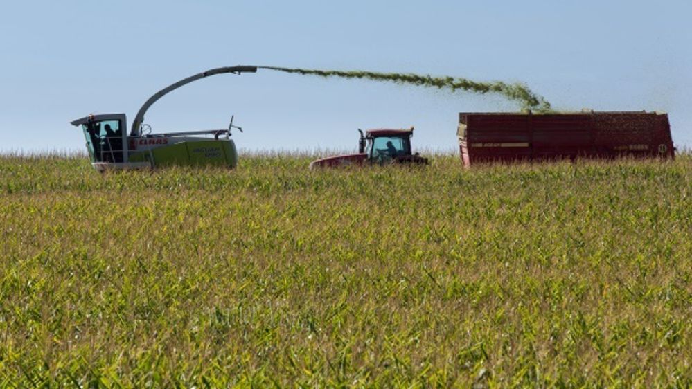 Bilan d’une campagne correcte malgré des récoltes tardives