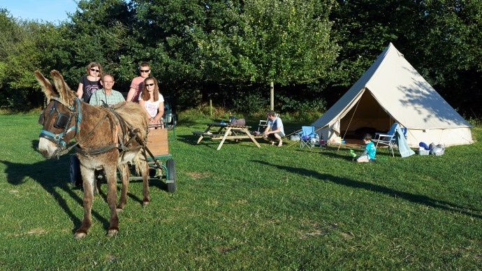 Tipi