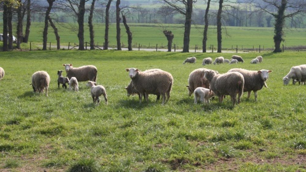 En octobre 2013, la production et la consommation sont inférieures à 2012