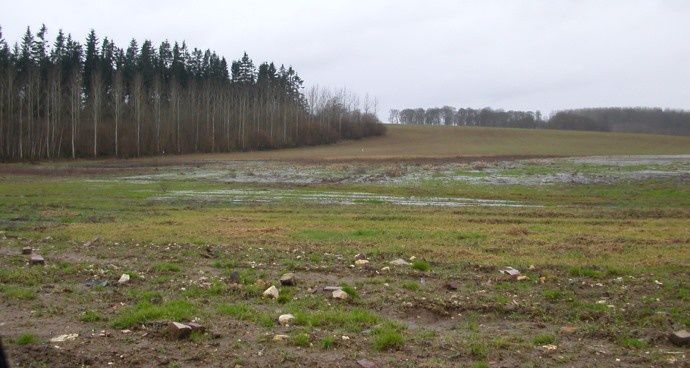 Champ inondé