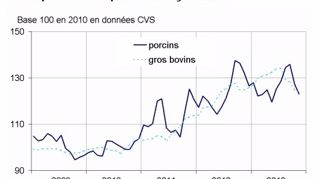 Les prix des animaux en recul de 1,1 % Les prix des animaux en recul de 1,1 %