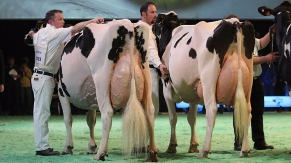 Palmarès des concours de Lausanne
