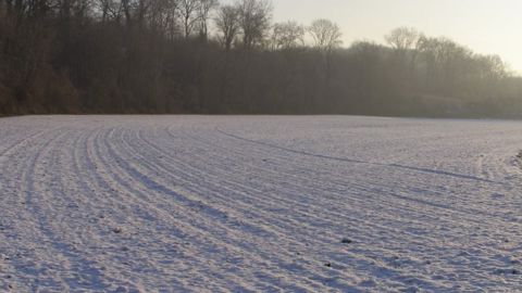 Les vagues de froid se succèdent aux Etats-Unis