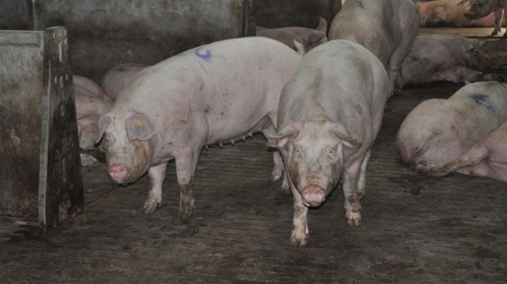 Le projet de recherche européen Prohealth doté de 9 millions d’euros