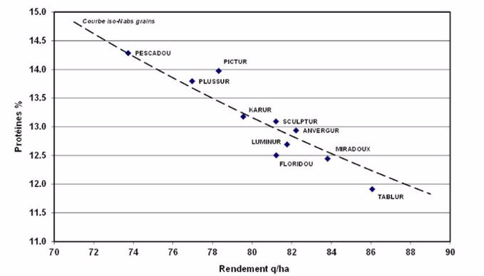Figure 1 : variétés de blé dur et teneur en protéines