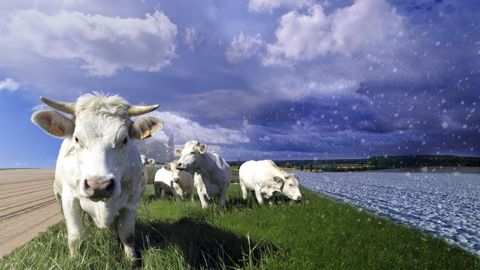 Et vous, quelle stratégie adopterez-vous pour continuer à produire demain ? Et vous, quelle stratégie adopterez-vous pour continuer à produire demain ?
