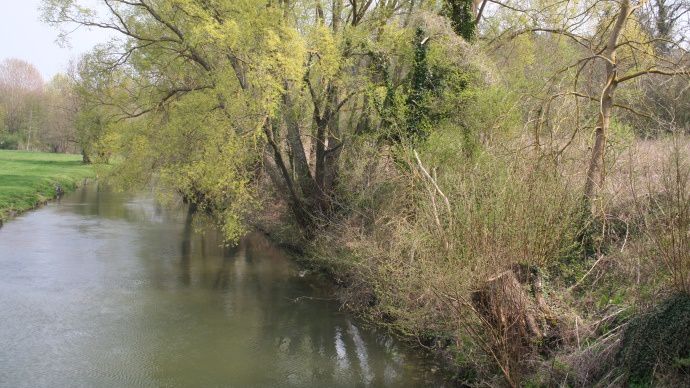 Cours d'eau