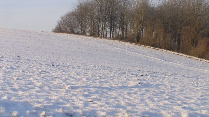 Plaine enneigée