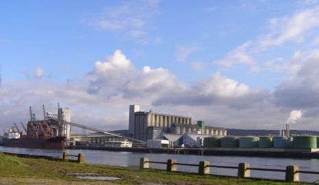 Avec Med-Amin, la Méditerranée se serre les coudes autour des céréales