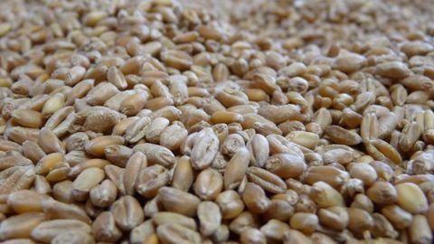 Régulation des marchés financiers agricoles : l’Europe avance