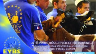 Les inscriptions pour l'Eeje 2014 sont ouvertes Les inscriptions pour l'Eeje 2014 sont ouvertes