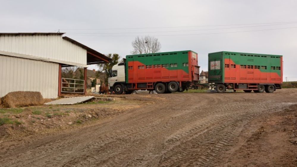 Le tribunal a tranché : Saria est déboutée