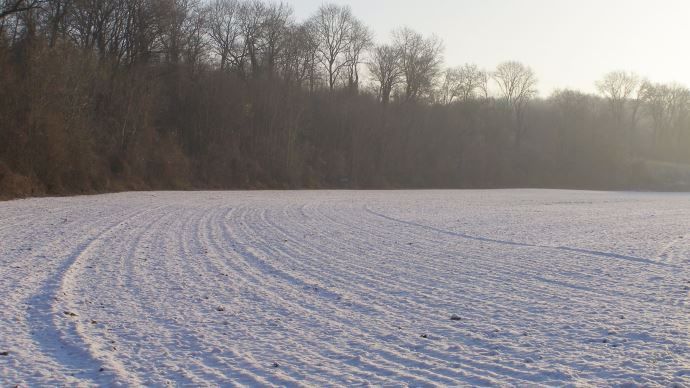 Neige sur une plaine