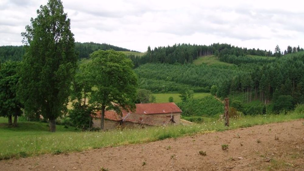 En Pologne : priorité donnée au premier pilier