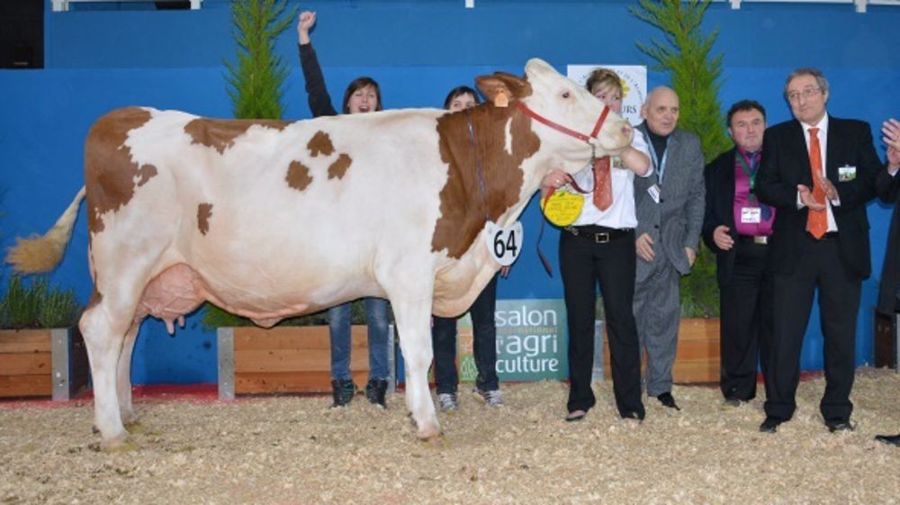 Auréole et Félicia l'emportent à Paris