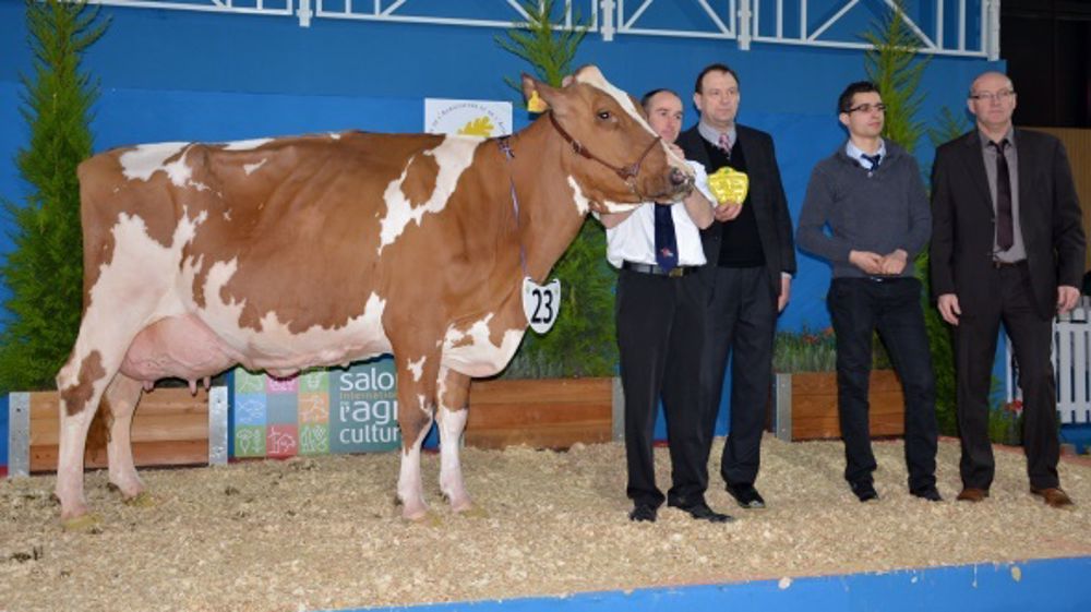Angélik et Gladys, deux championnes au Gaec des Alizées