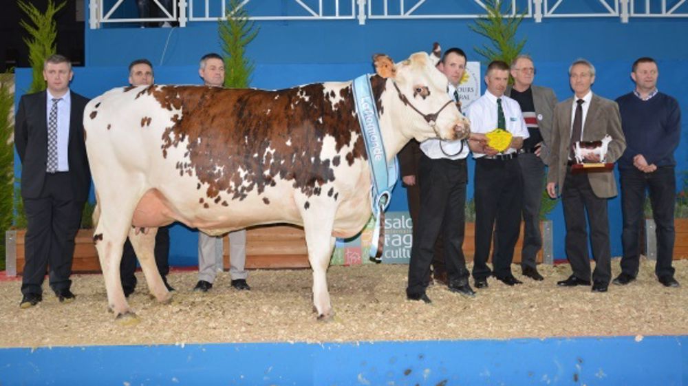 Didefix sacrée grande championne pour sa 3ème participation à Paris