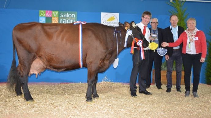 La championne adulte Colosse