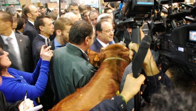François Hollande avec des éleveurs corréziens.