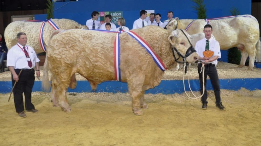 Champion réitère son exploit, Eurovision et Gentleman sur la plus haute marche