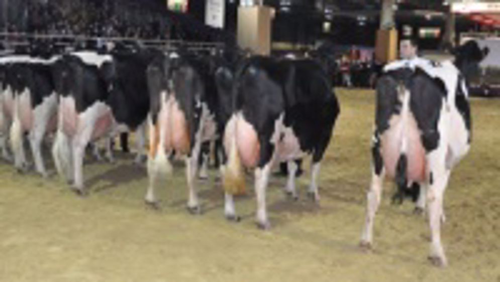 Palmarès du concours Blanc Bleu du Sia 2014