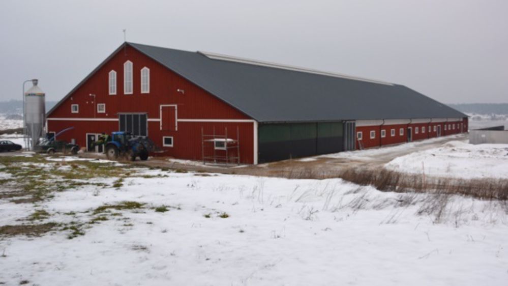 Un prix du lait parmi les plus élevés d’Europe