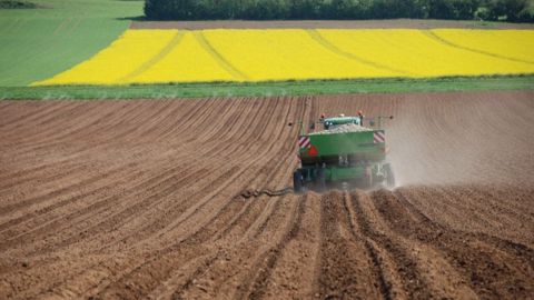 Prendre soin de ses plants pour bien démarrer la campagne Prendre soin de ses plants pour bien démarrer la campagne
