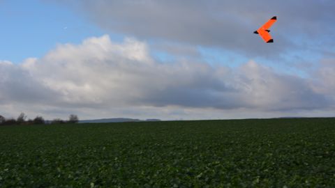 Drone (©Tnm)
