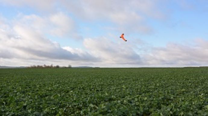 Le drone Airinov durant un vol.