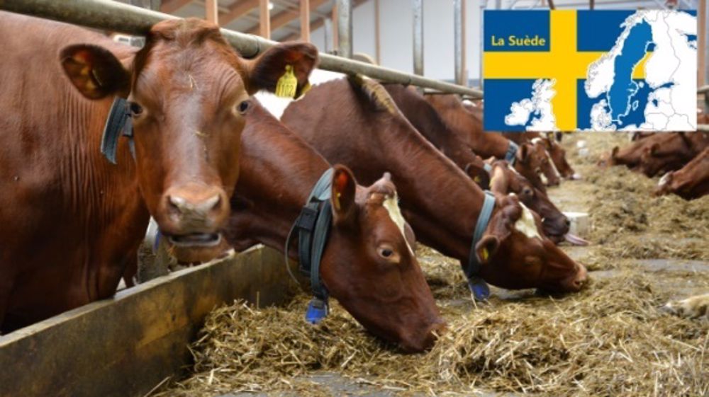 A la découverte d’élevages où l’herbe et la robotique sont rois