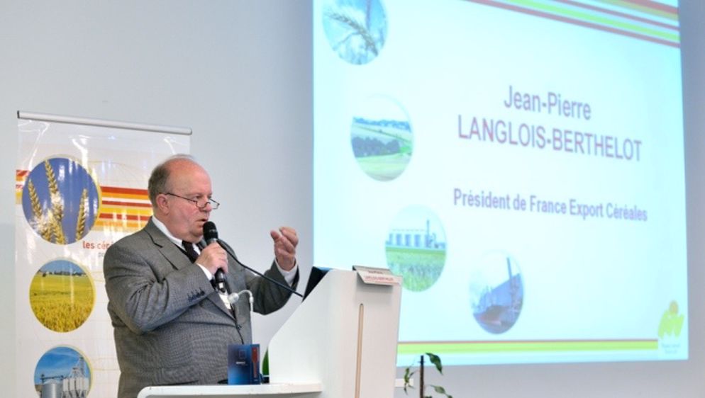 Le blé français très pénalisé par sa faible teneur en protéines et en gluten