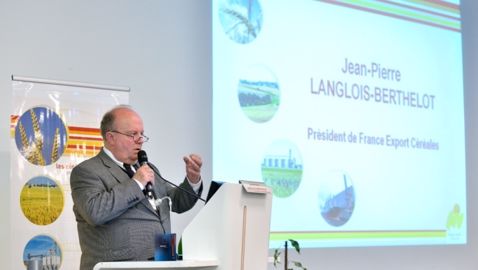 Le blé français très pénalisé par sa faible teneur en protéines et en gluten Le blé français très pénalisé par sa faible teneur en protéines et en gluten