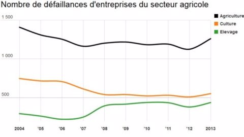 Le nombre de dépôts de bilans agricoles a explosé en 2013