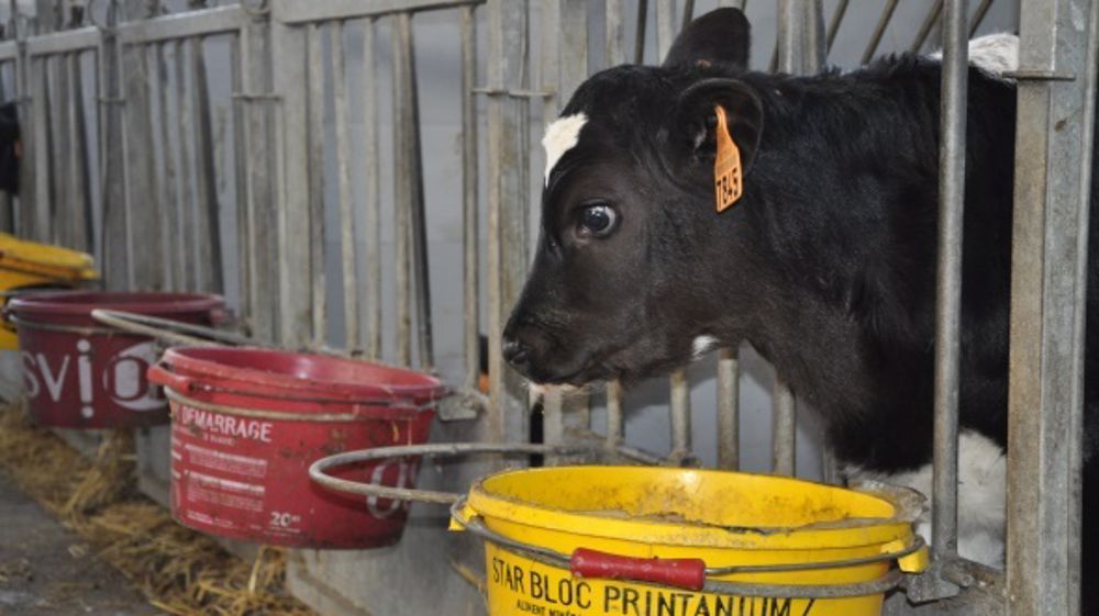 Le réseau Nutrition Conseil Oceadis lance son nouvel aliment Génistart