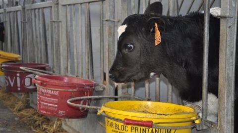 Le réseau Nutrition Conseil Oceadis lance son nouvel aliment Génistart