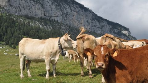 Prenez en main gratuitement un des derniers tracteurs d'élevage avec Web-agri