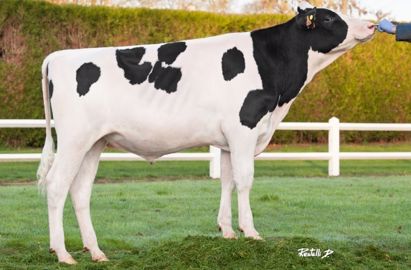Islander, nouveau n°1 en Isu, chez Origenplus