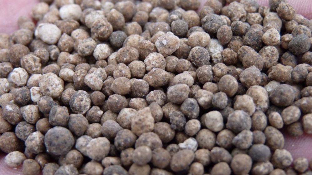 Seco et Tradecorp innovent avec un engrais enrobé d'acides humiques et fulviques
