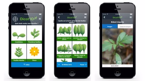 Bayer lance la version dicot de son appli mobile Bayer lance la version dicot de son appli mobile