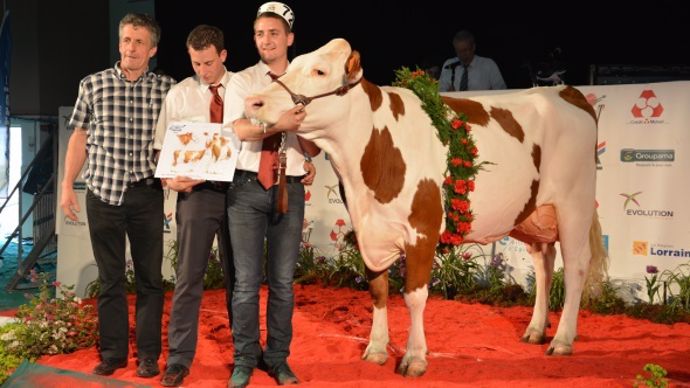 Fougue (Urbaniste x Micmac)